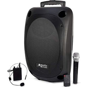 Professionele luidspreker, draagbaar, 350/700 W, Audio Club MOOV12, USB Bluetooth Line FM-radio, accu, 2 UHF-microfoons