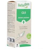 Maretak - Voedingssupplement - Groen - Natuurlijke Ingrediënten