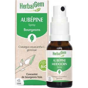 Meidoorn - Knop - Antioxidant - Natuurlijke Bron