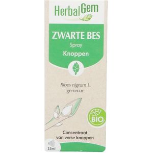 Herbalgem - Zwarte Bes Bio Spray - 15 ml - Antioxidanten