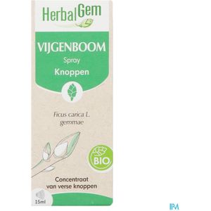 Voedingssupplement - Vijgenboom - Sprayformaat - Natuurlijke Ondersteuning