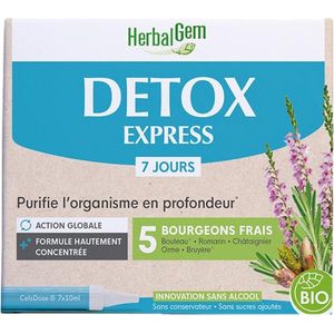 Detox Kuur - Berk - Rozemarijn - Olm - Tamme Kastanje - Struikhei