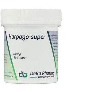 Gewrichtsmiddelen - Duivelsklauw - Natuurlijke Pijnstiller - 100g