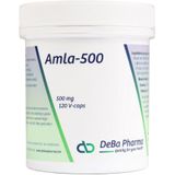 Amla - Eetbare Vrucht - Vitamine C - Tropisch - 100g