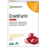 Quercus Cranburin 15 stuks