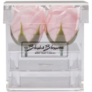 Blush & Blossom Rose Fleurs 4-Pièce dans Dégager Boîte, Blush