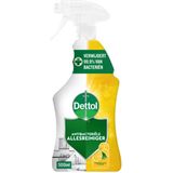 Dettol - Power & Fresh - Allesreiniger - Citrus - Spray