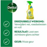 Dettol Allesreiniger Spray Power & Fresh - Citrus - 500 ml