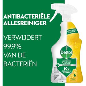 Dettol Allesreiniger Spray Power & Fresh - Citrus - 500 ml