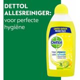 Dettol Power & Fresh Allesreiniger Citrus 500 ml