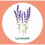 Dettol Handzeep Verzachtend Lavendel 250 ml