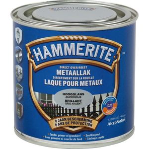 Hammerite Metaallak Hoogglans - Zilver Grijs - 250 ml - 10 m²/l