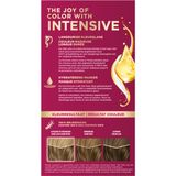 Schwarzkopf - Poly Palette - Haarverf - Donkerblond 500 - 115ml