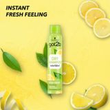 Schwarzkopf - got2b Fresh It Up Extra Fresh Dry Shampoo - Osvěžující suchý šampon s citrusovou vůní