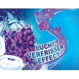 Witte Reus Toiletblok Kracht Actief Lavendel