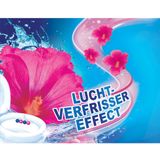 Witte Reus - Kracht Actief - Toiletblok - Bloesem - 100% Recyclebaar