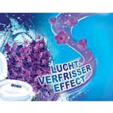 Witte Reus Toiletblok WC Kracht Actief - Lavendel Boost - Duopack