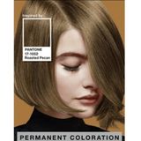 SYOSS Colors Pantone Haarverf 6 66 Roasted Pecan 1 stuk