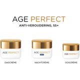 Lâ€™OrÃ©al Paris Age Perfect Anti Rimpel- 50 ml - NachtcrÃ¨me