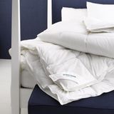 De Witte Lietaer Dekbed Dream 4 Seasons Lits Jumeaux Polyestervulling