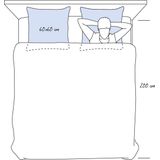 De Witte Lietaer Kussen Ducky Donsvulling