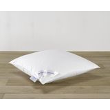 De Witte Lietaer Kussen Ducky Donsvulling