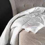 De Witte Lietaer Dekbed Dream Polyestervulling