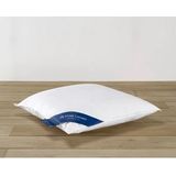 De Witte Lietaer Kussen Ducky Donsvulling