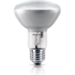 Halogeenlamp - Warm Wit - E27 Fitting - 70W - 2700K