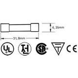 ZEKERING 6.35 x 32mm TRAAG 2A (10st./doos) (6FU2N)
