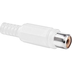 RCA Stecker - Velleman