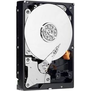 Western Digital AV - Interne harde schijf 3.5"" - 1TB