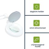 LOEPLAMP 8 DIOPTRIE - 22 W WIT (VTLAMP2WN8)