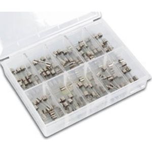 Sicherungsset - träge - 100-tlg. - 5 x 20 mm