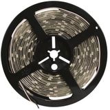 LED Strips - Wit - Flexibel - 5 Meter