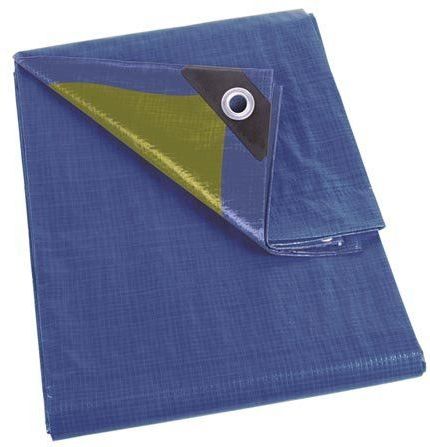 Perel - Dekzeil - Blauw/Groen - Polyester - 6 x 10 m