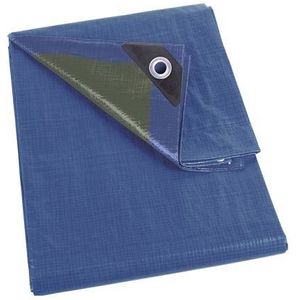 Perel Dekzeil waterdicht, afdekzeil, beschermzeil, beschermend zeil, polyester, 12 ringen, versterkte hoeken, rechthoekig, geweven, blauw/groen, 70 g/m², 2 x 4 m