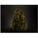 Welleman - V-ATR-180-S-24V-AW-GW - LED Verlichting - Arizona Wit - Groene Kabel - 220 LEDs