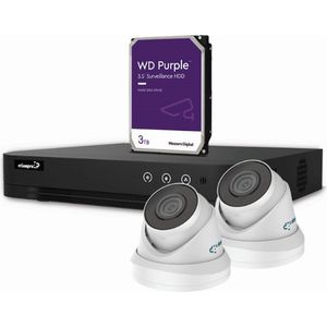 4 MP IP-VIDEOBEWAKINGSSET - 4-KANAALS NVR-RECORDER - 2 x WITTE IP DOME-CAMERA - 3 TB HD - KABELS