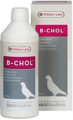 Voedingssupplement - Spijsvertering - Duiven - Tijdens Ruiperiode