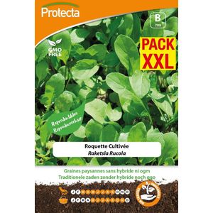 Protecta Groente zaden: Raketsla Rucola XXL