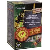 Protecta XXL Vangzak Voor Wespen en Hornaars met Lokmiddel