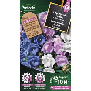 Protecta Bloemen zaden: Campanula dubbel gemengd