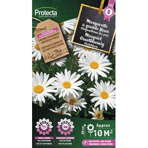 Protecta Bloemen zaden: Margriet Grootbloemig | Leucanthemum