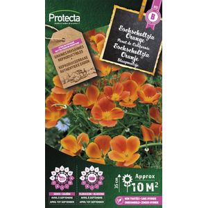 Protecta Bloemen zaden: Eschscholtzia Orange | Slaapmutsje