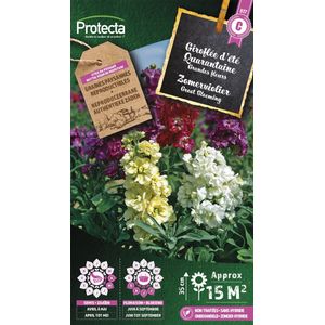 Protecta Bloemen zaden: Zomerviolier Grootbloemig