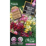 Protecta Bloemen zaden: Leeuwenbek Lage Majestic | Antirrhinum Majus