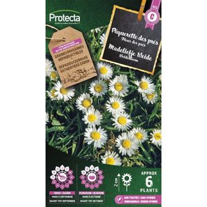 Protecta Bloemen zaden: Madeliefje Weide | Bellis perennis