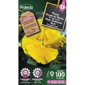 Protecta Bloemen zaden: Viola Zwitserse Geel | Zwitserse reus