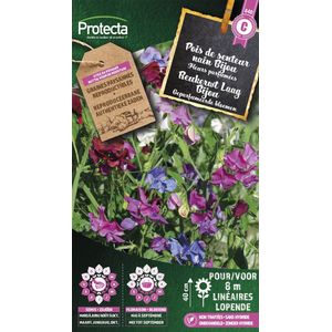 Protecta Bloemen zaden: Reukerwt Laag Bijou | Lathyrus odoratus